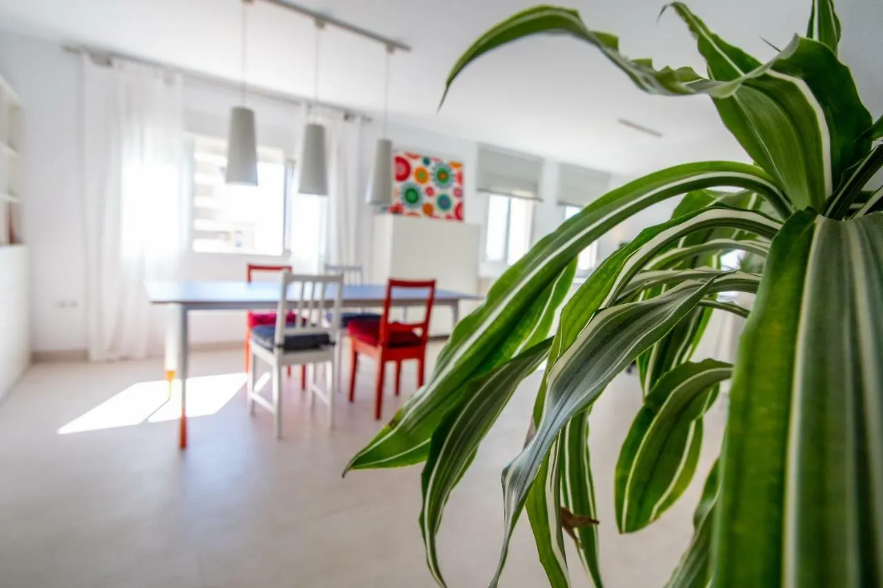 Apartamento El Rayo Verde Cadiz
